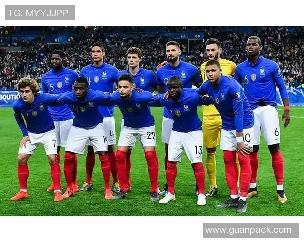 如何购买法国对冰岛比赛的门票及相关信息指南